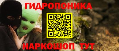 ECSTASY Камышлов