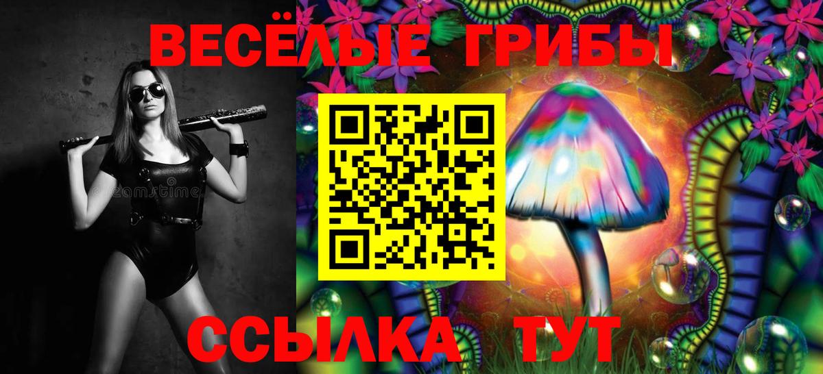 Ялта  Псилоцибиновые грибы Psilocybe  где найти наркотики  Вход с VPN  Псилоцибиновые грибы Cubensis 